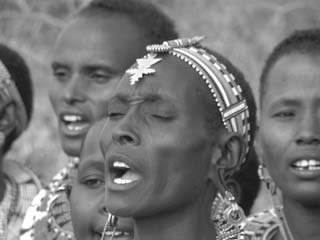 Immagine articolo Fucine Mute