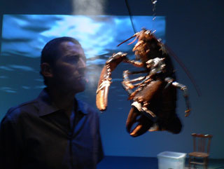 Accidens &mdash; Matar para comer