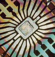 Immagine editoriale Fucine Mute