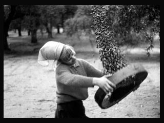 Una scena del film di Luigi Di Gianni
