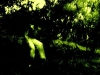 holy_wood_07