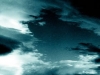holy_wood_12