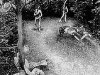 holy_wood_26