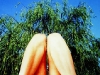 holy_wood_28