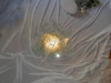 wendygall-02
