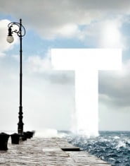 trieste film festival