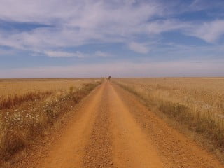 Camminare fa male Camminare fa male