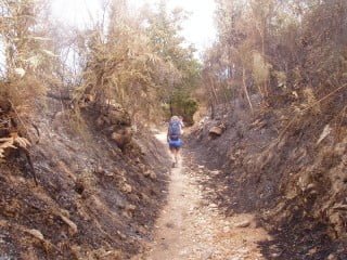 Camminare fa male Camminare fa male