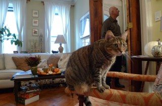 A casa di Phillip Lopate | Photo: Liz Arnold