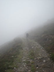 Pellegrino nella nebbia