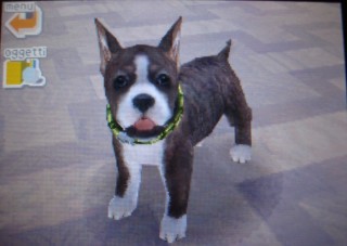 Cuccioli per Nintendo DS