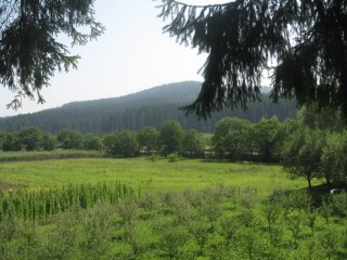 Paesaggio nei dintorni di Slatina