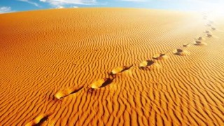 Impronte sul deserto