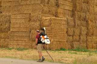 Foto della serie People (2)