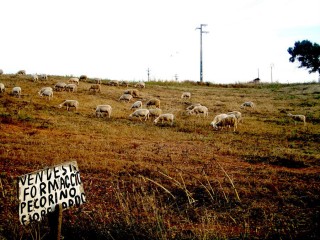 La Sardegna più autentica