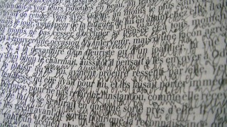 Sépànd Danesh, Shadows of Memory, inchiostro su carta, 46x55 cm, 2012