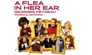 La pulce nell'orecchio