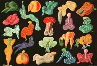 Ritratto del califfo Mash-er-Rum e le sue 20 mogli Ritratto del califfo Mash-er-Rum e le sue 20 mogli