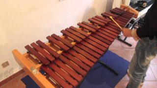 Suonatore di xilofono Suonatore di xilofono