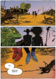 Materia Degenere (una tavola)