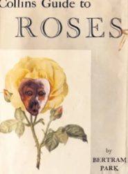 Libro sfregiato da Orton