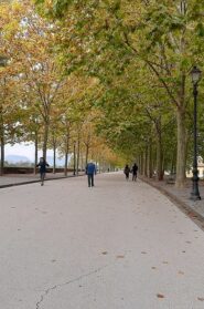 Lucca 2020 mura vuote