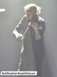 David Garrett