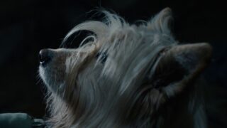 Ultimo schiaffo (Marlowe)